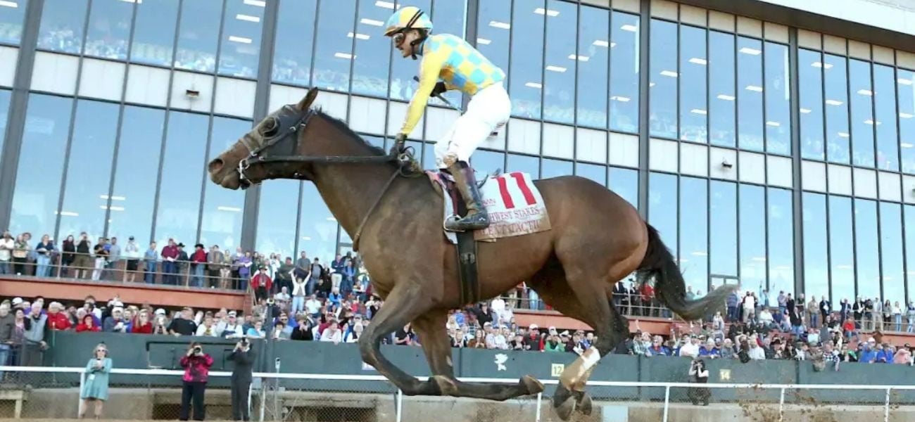 Silent Tactic Southwest 26 Travers Contenders 26 Coady Media
