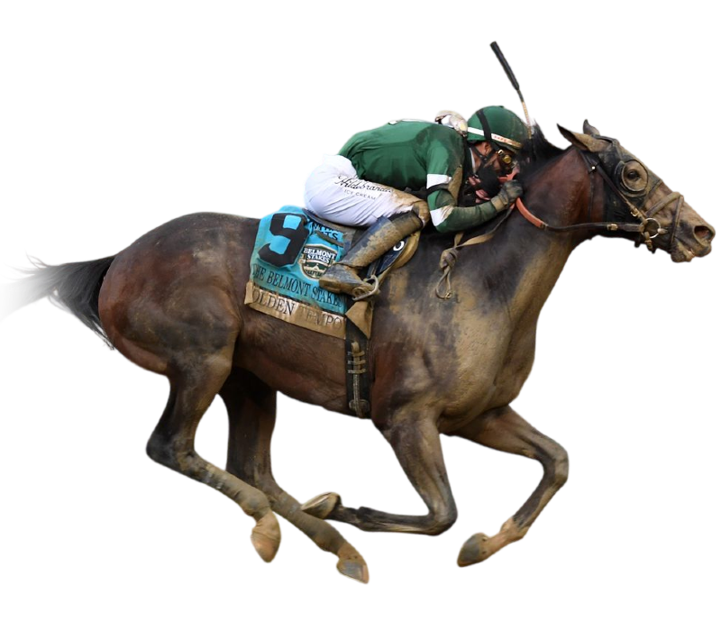 Golden Tempo Belmont 26 Cutout