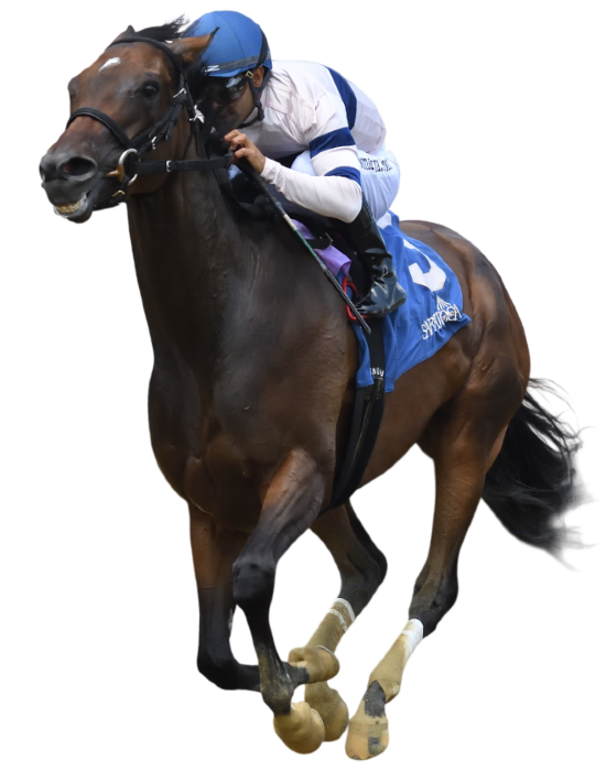 Sar 25 Echo Sound Victory Ride