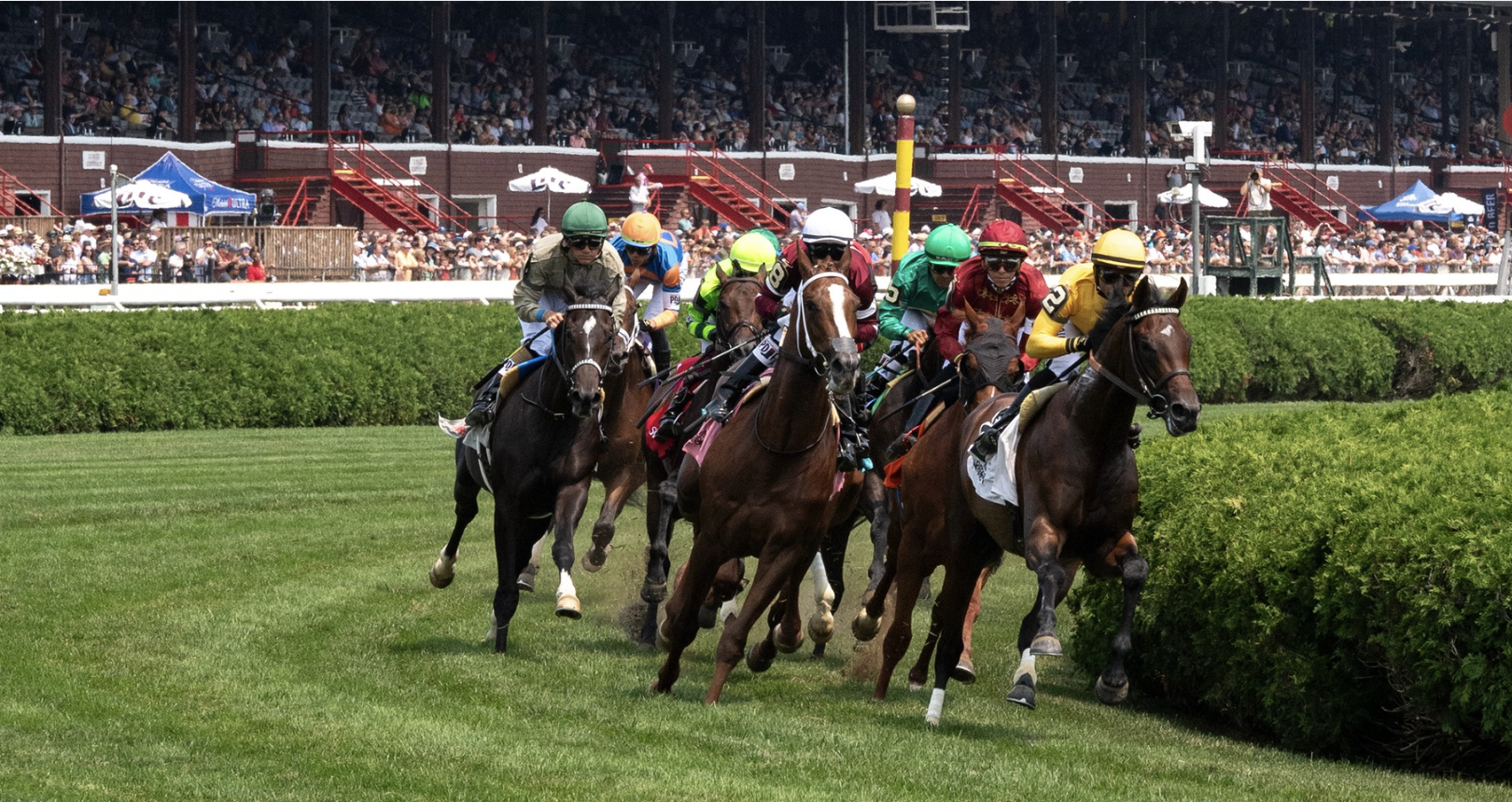 Saratoga Press Release Turf With Grandstand Behind Cd