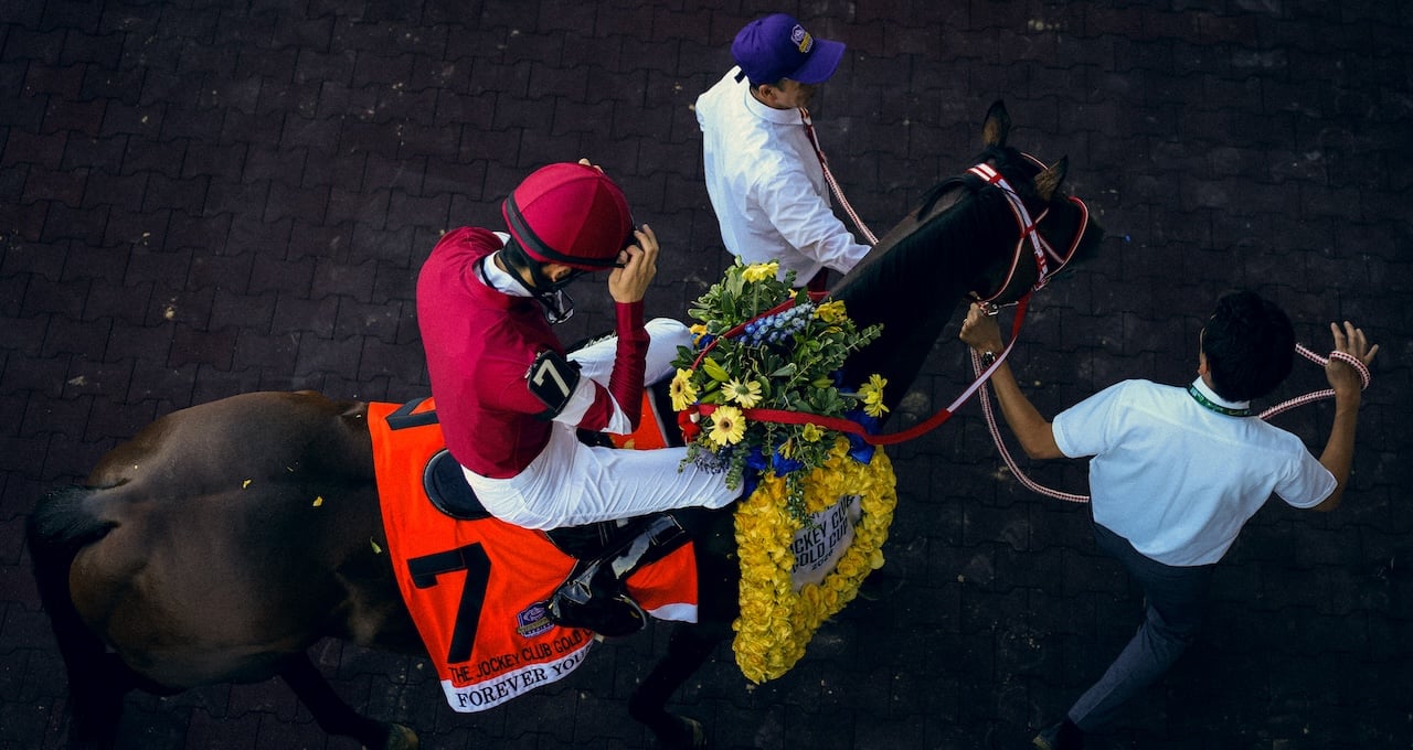 Bel 26 Forever Young Winners Circle