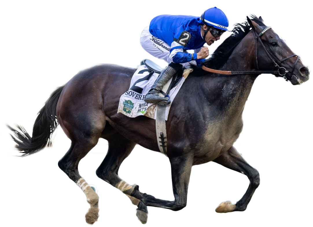 2026 Belmont Stakes: Probable Horses