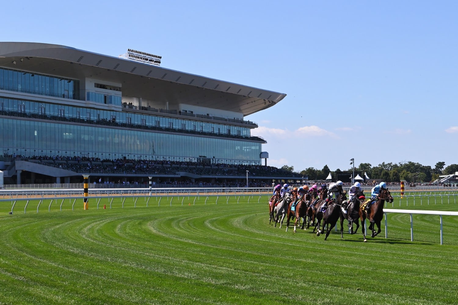 Bel 26 Gallery Turf Racing Grandstand