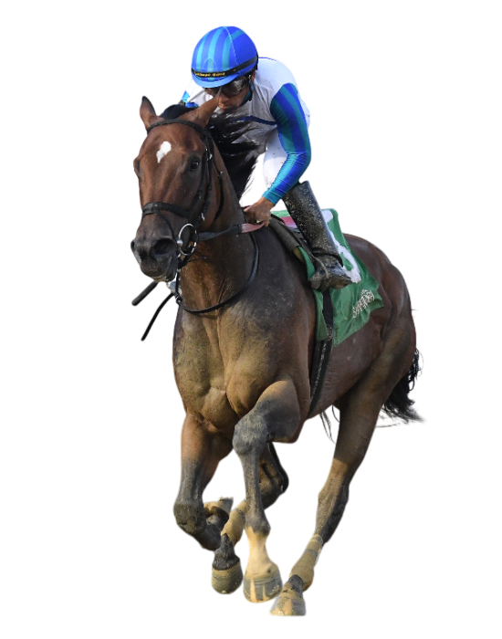 Sar 25 Vanderbilt Bookem Danno