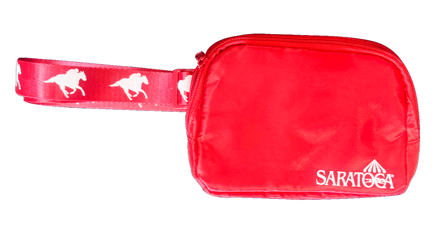 Sar 26 Belt Bag
