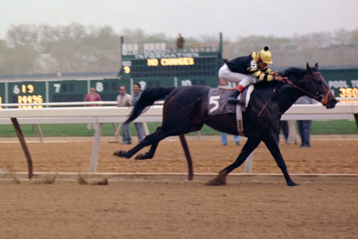 Seattle Slew Wood Memorial 1977