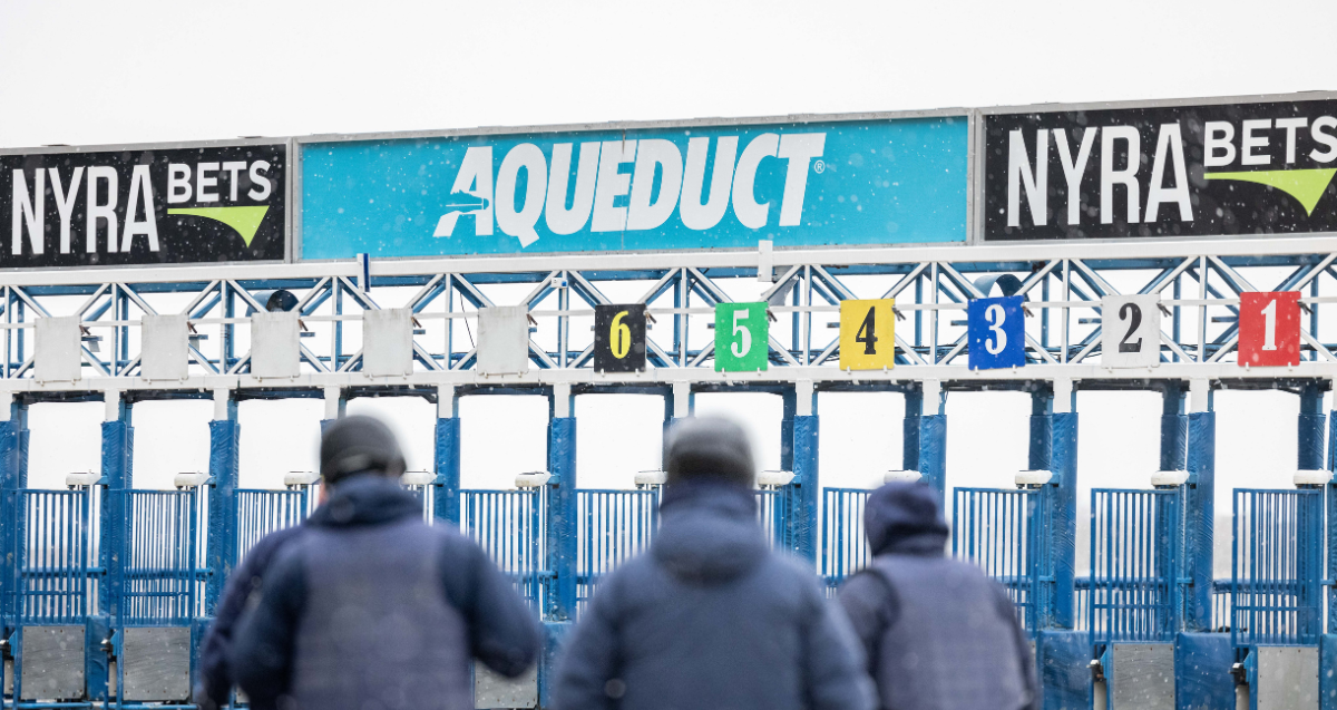 Aqu 24 Scenic Starting Gate Ww