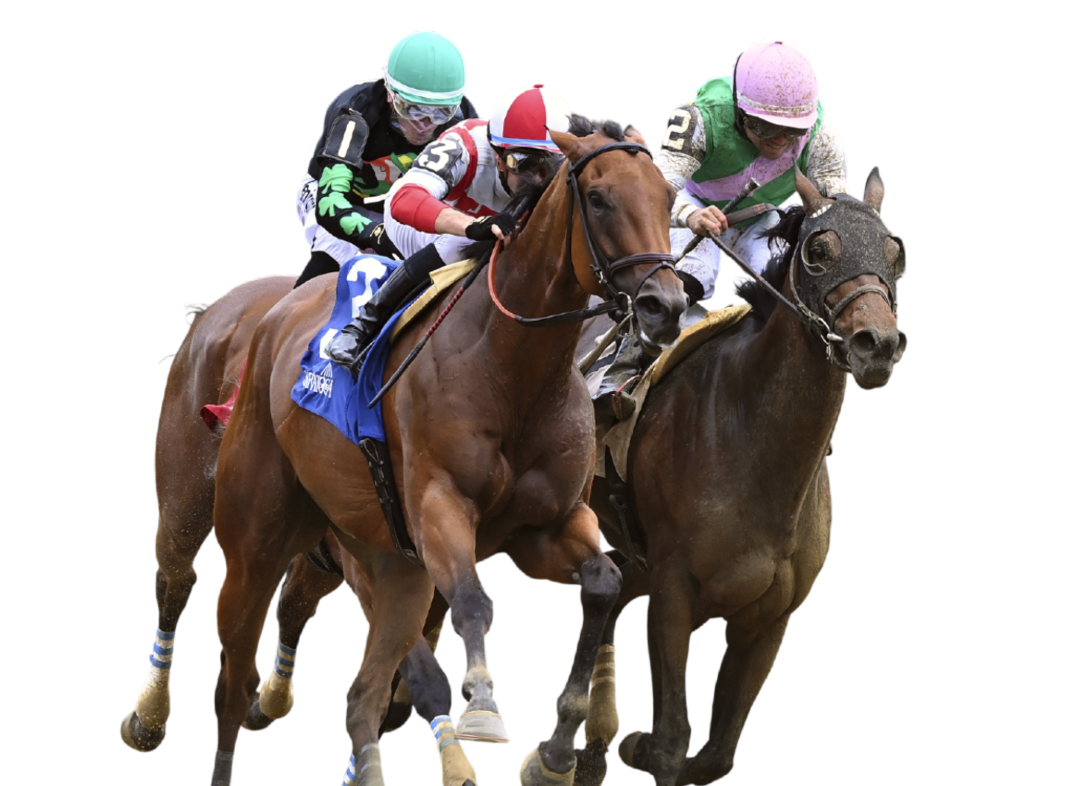 2026 Stakes Schedule