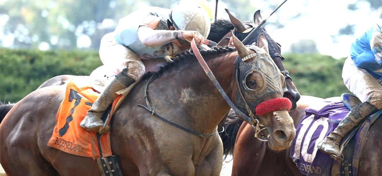 Vitruvian Man Keeneland Coady Media