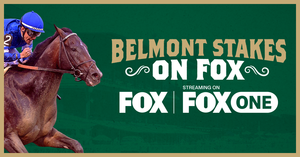 Bsrf 26 Web Carousel Fox