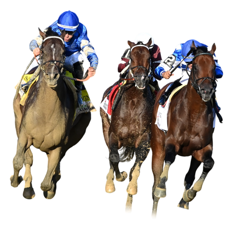 Sar 25 Travers Horses Cutout
