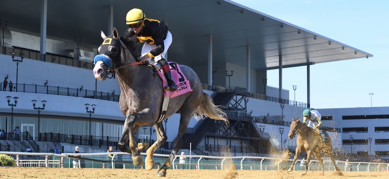 Napoleon Solo Champagne 25 Travers Contenders 26
