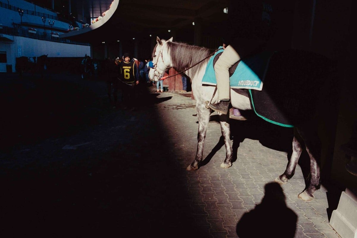 Aqueduct Pony Paddock Henry Kornaros