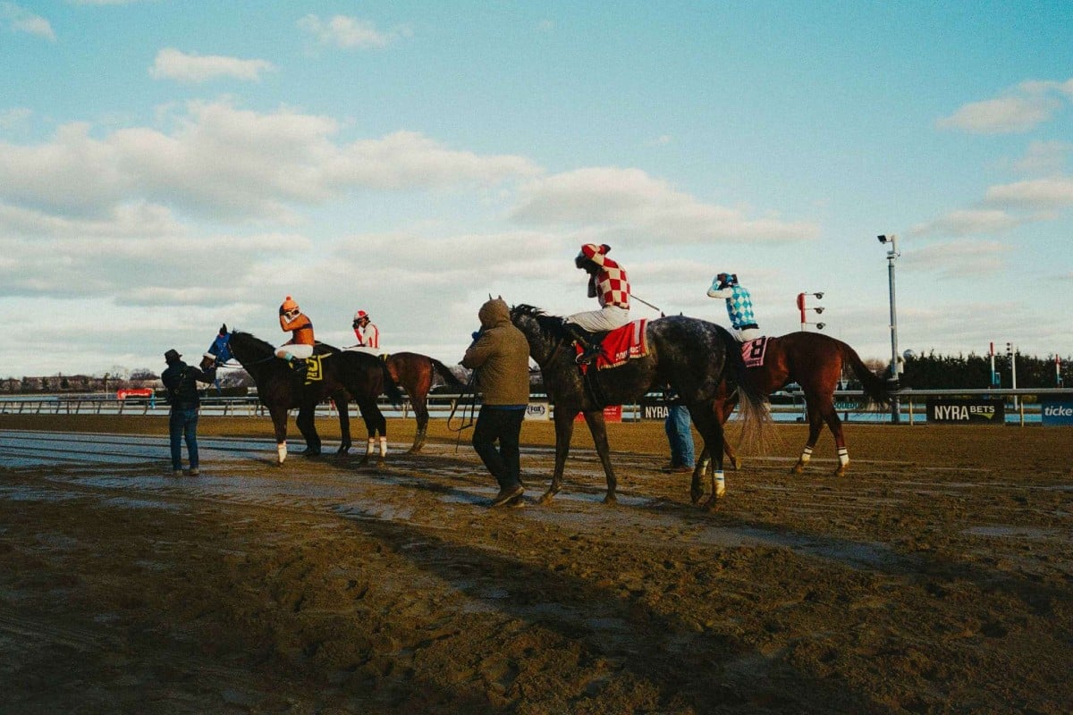Aqueduct Horses Track Henry Kornaros