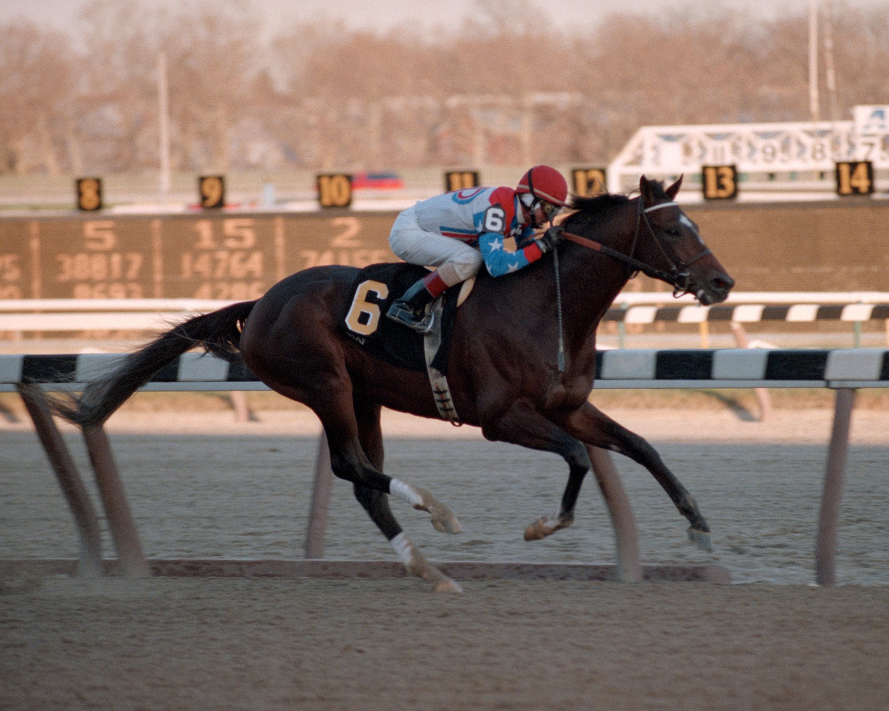 Cigar Nyra Mile