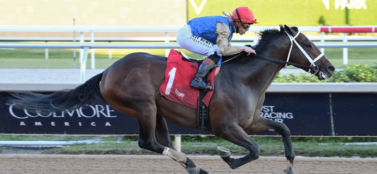 Commandment Mucho Macho Man Lk