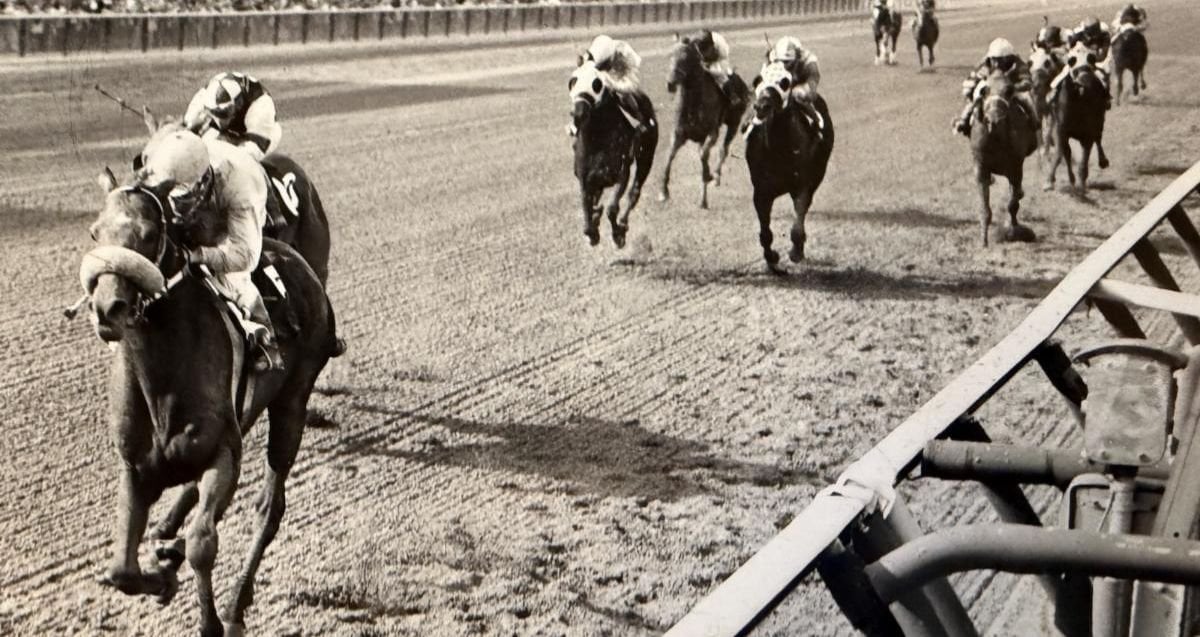 Belmont Stakes 1966 Aqu