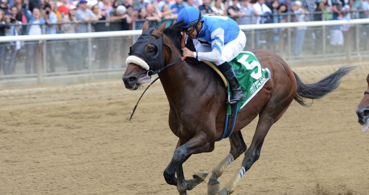 Effinex Cd