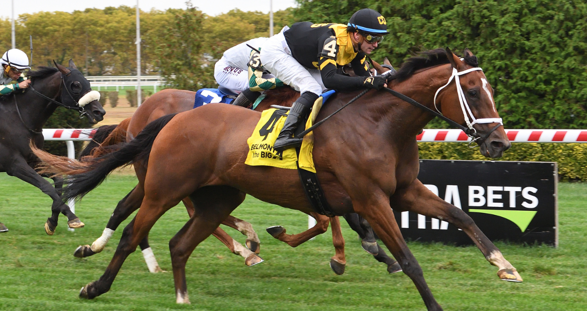 Hush of a Storm rolls to victory in $125K Ashley T. Cole | Aqueduct