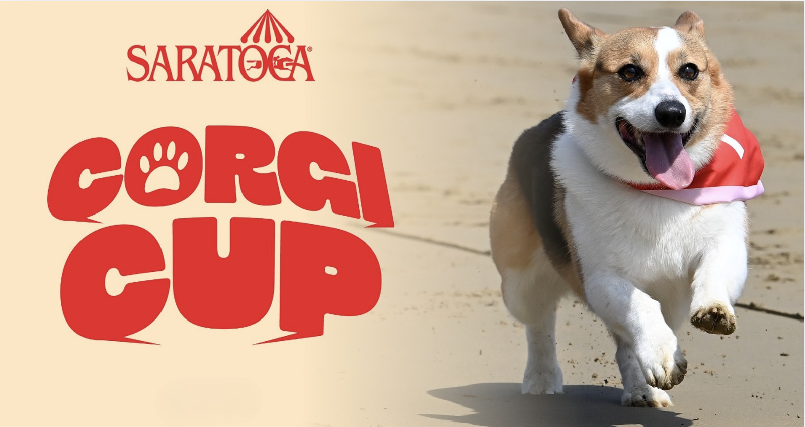 Corgi Cup 26