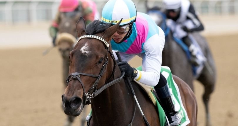 Yo Cuz East View 22 Jl