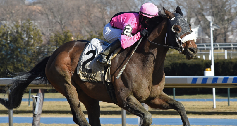 Our Last Buck Say Florida Sandy Cd