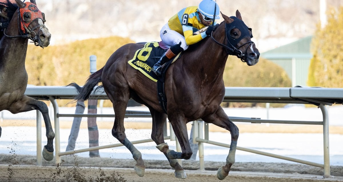 Komorebino Omoide Stymie Cd