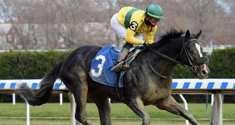 Three Technique Aqu 19 Cd