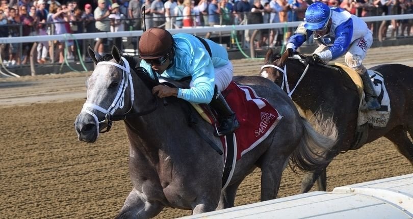 Pretty Birdie Schuylerville 21 Chelsea Durand