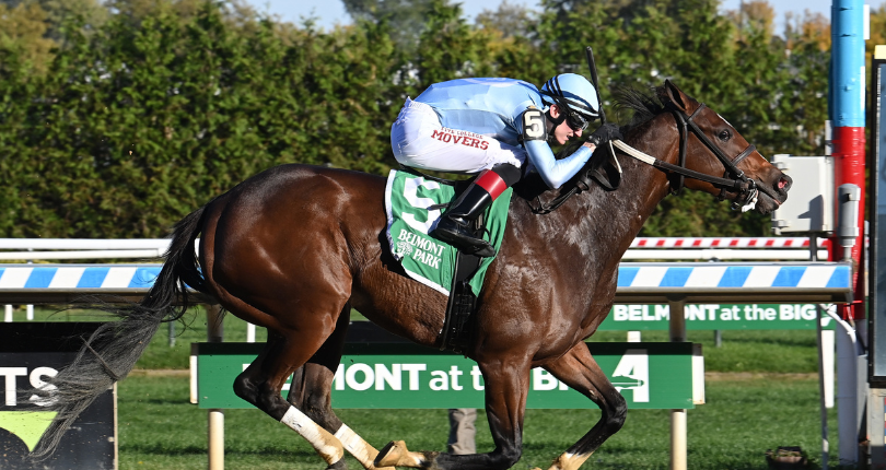 Half Is Enough The Glen Cove 2022 Uncredited