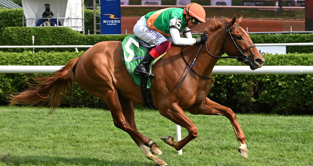 Annascaul cuts back in distance for $135K Stewart Manor | Aqueduct