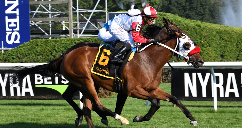 Dream Central Suzie Ocain 22