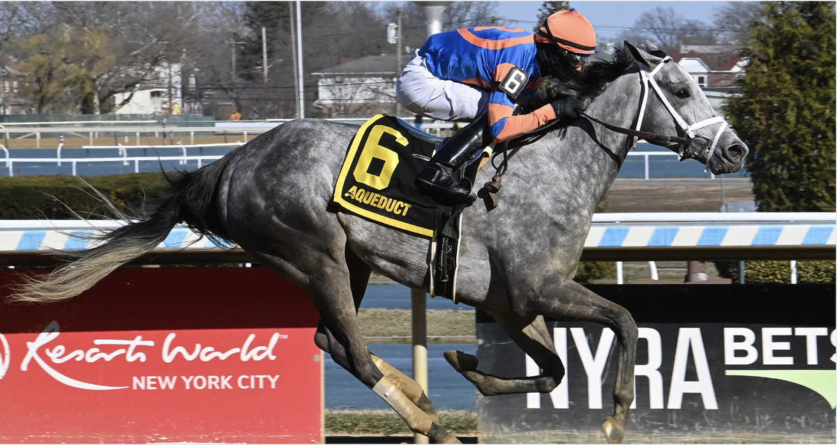 Scalable Top Flight Cd