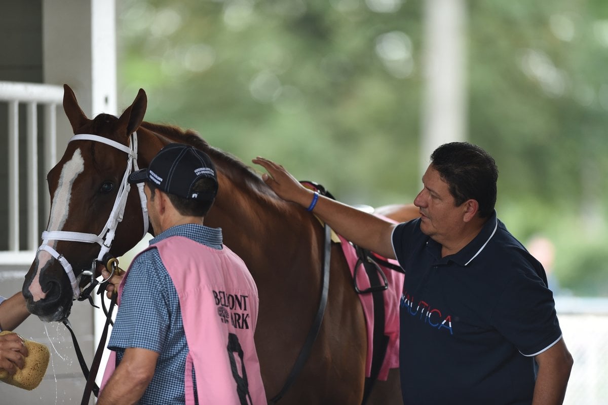 Saul Castellanos 2 Coglianese