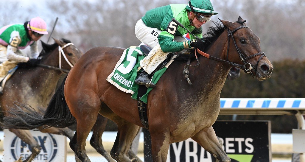 Aqu 23 Shidabhuti Busher Cd