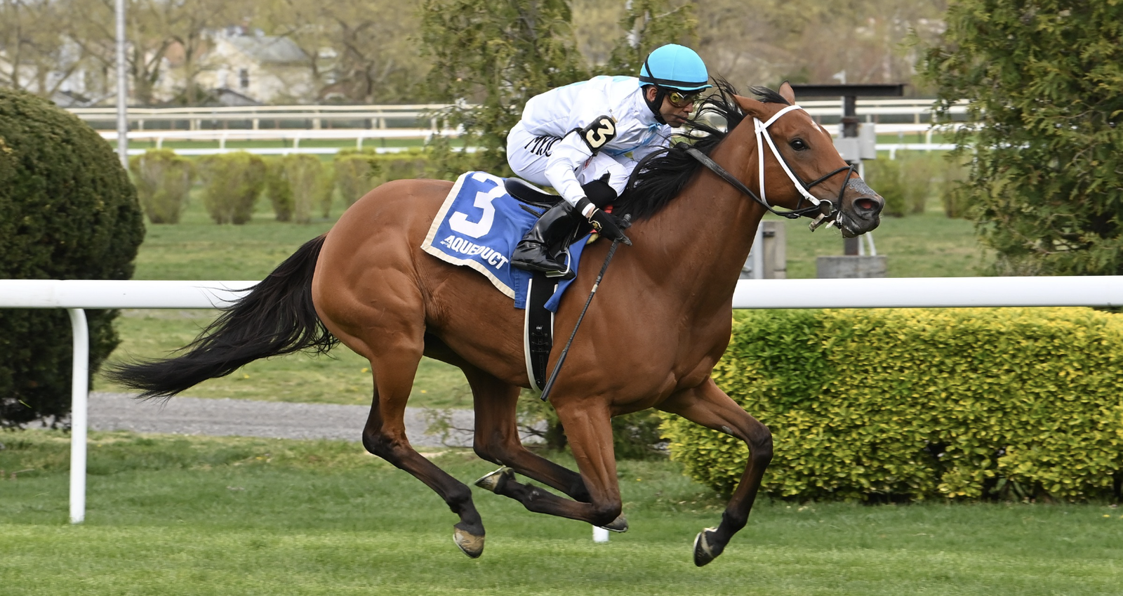 Spirit And Glory Plentyof Grace 24 Sr