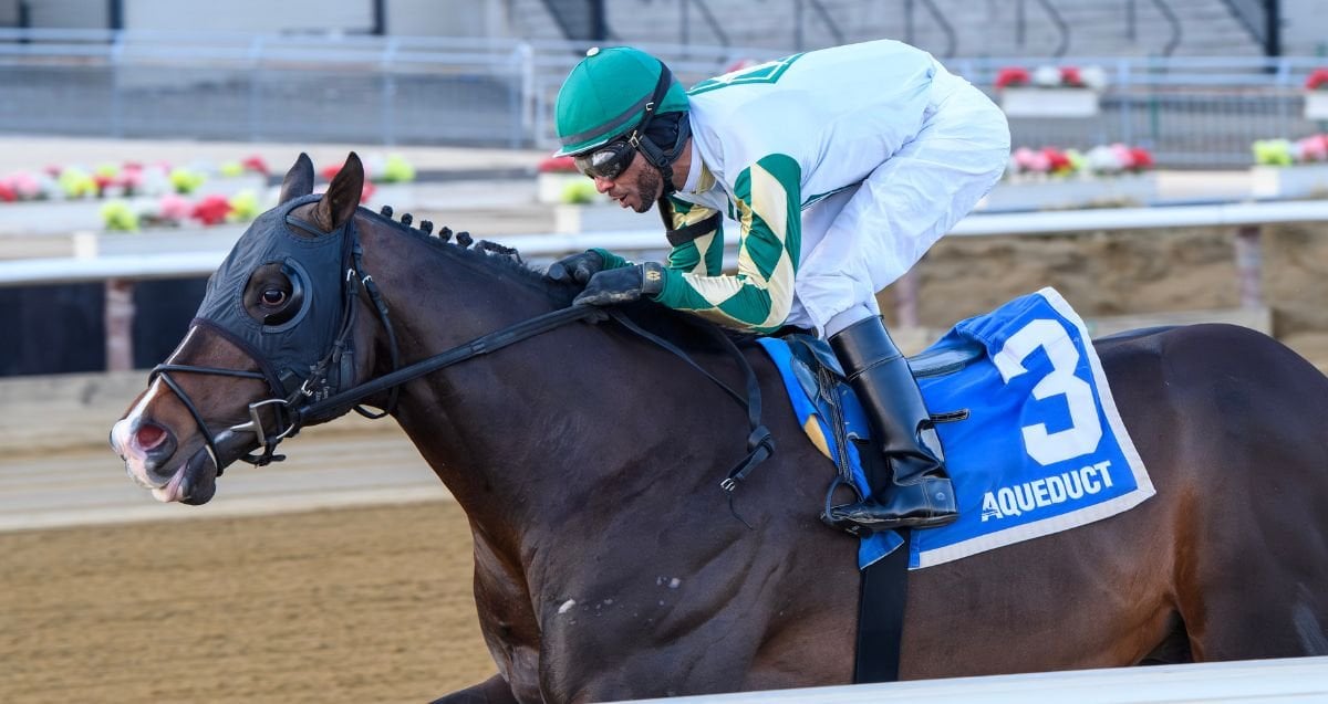 National Identity Say Florida Sandy 26