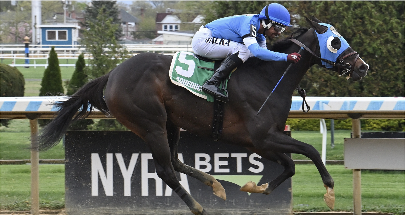 Bams Bliss Kiss Biogios Rose Ac