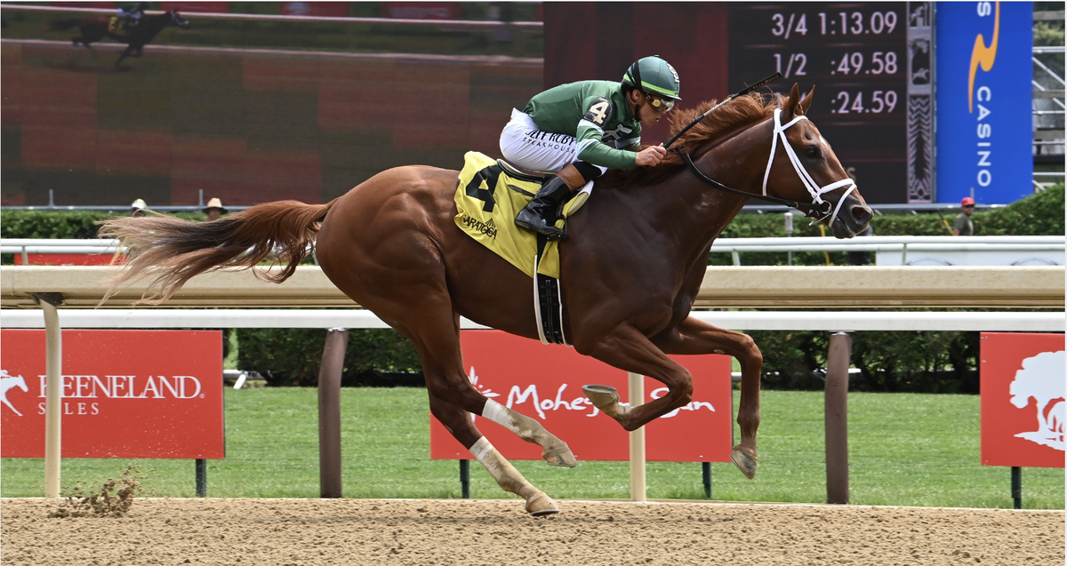 Classicist Saratoga Ac