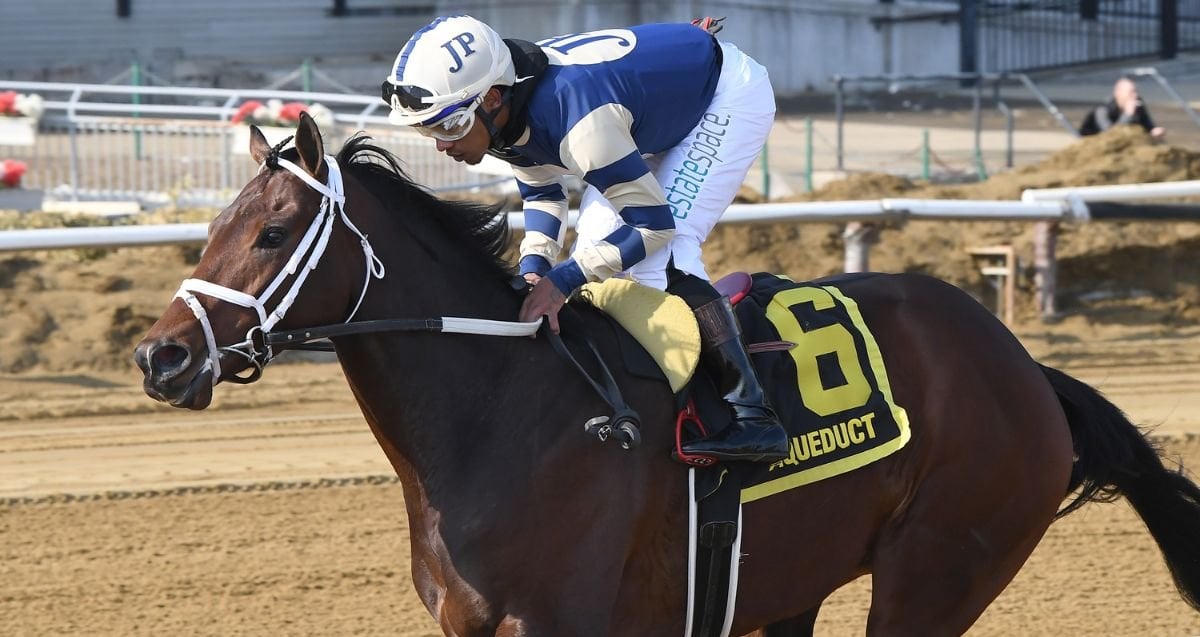 Artic Beast Damon Runyon 26