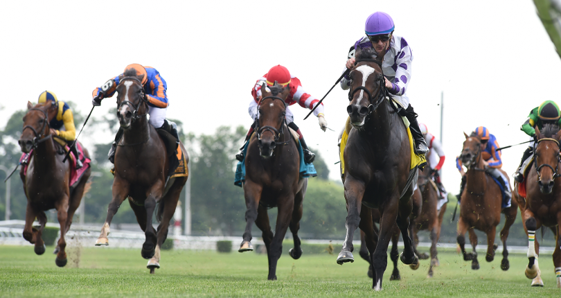 Concrete Rose Belmont Oaks 19