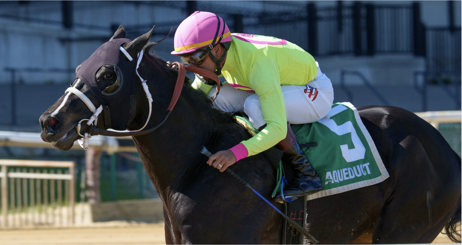 Sculcos Folly Mind Your Biscuits Jl