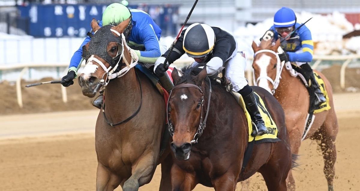 Just Katherine Interborough 26 Cd