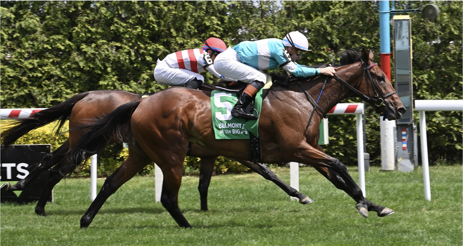 No Show Sammy Jo Baq