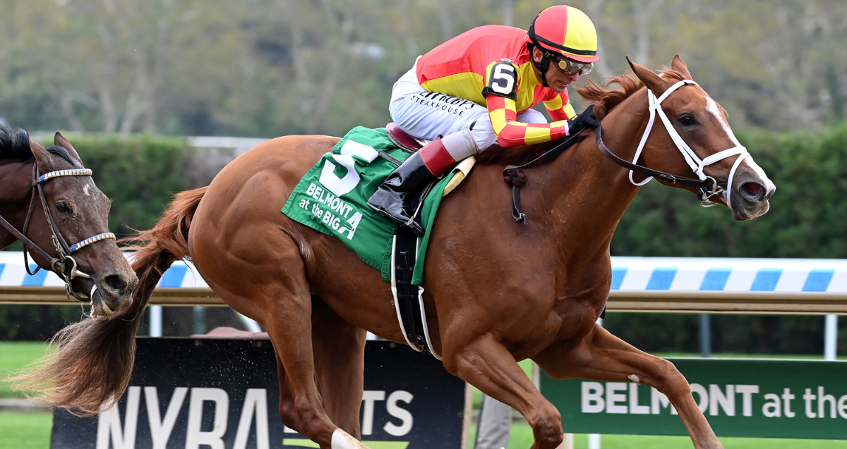 Caitlinhergrtness Cd 2023