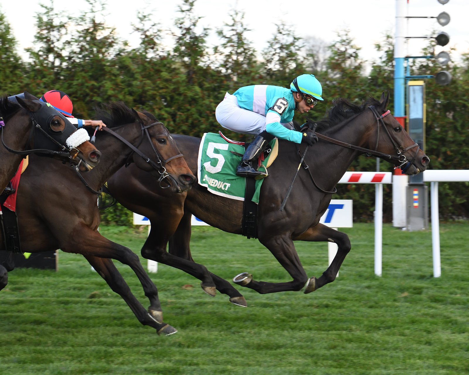 Empressof The Nile The Zagora 2