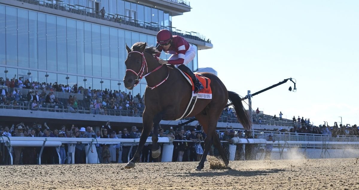 Forever Young Jockey Club Gold Cup 26