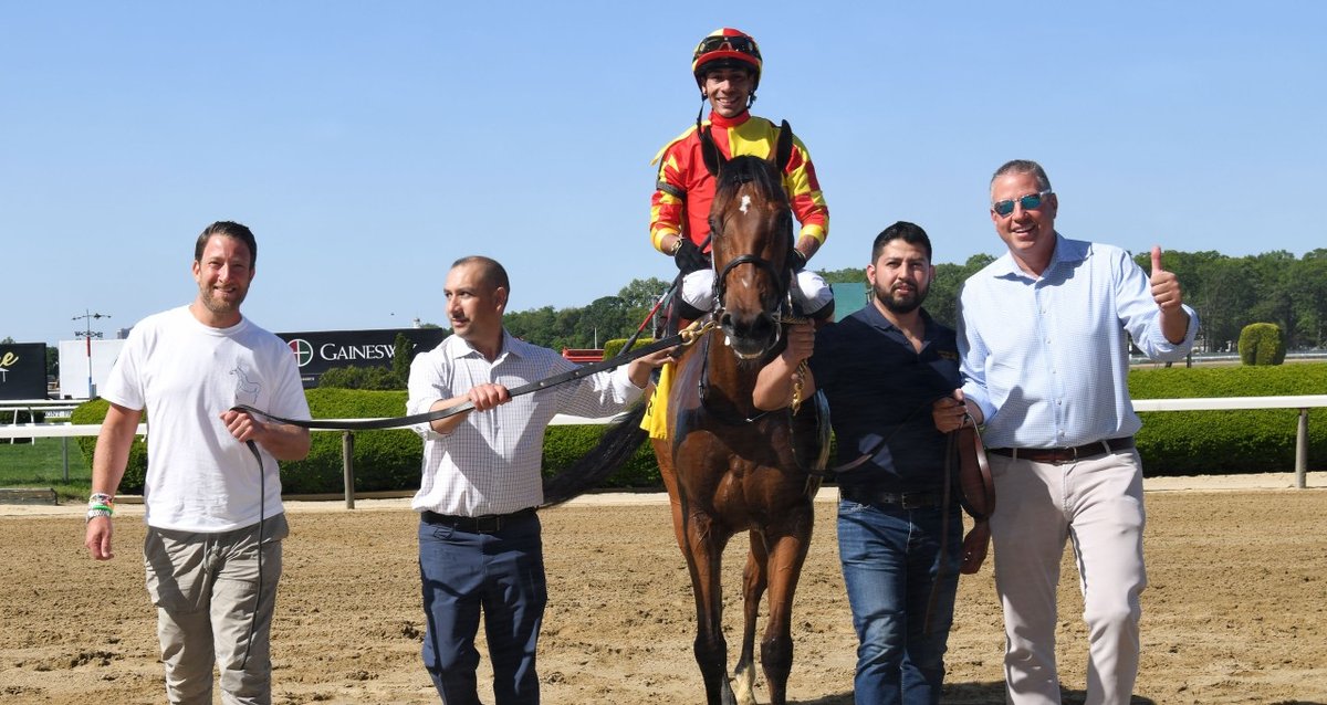 Queen Picasso Soaring Softly 23