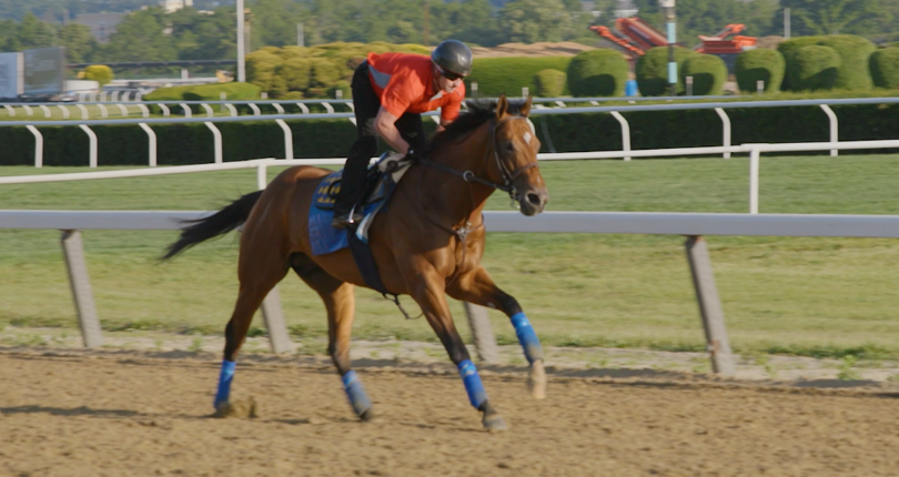 National Treasure 5 28 23 Bel