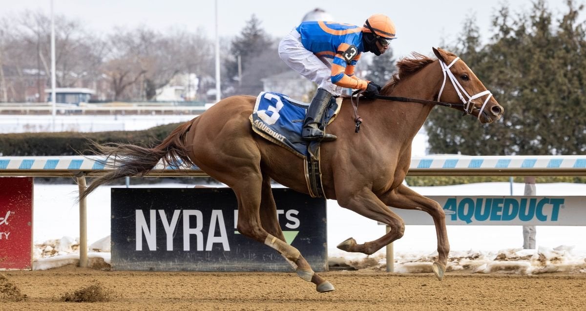 Be You Toboggan 26 Ww